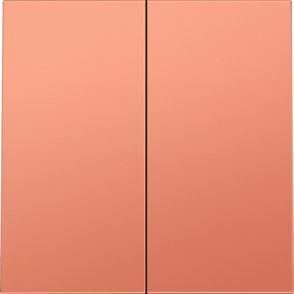 Выключатель двухклавишный встраиваемый Donel R98 звонкового типа Коралл матовый DA25100-DA29545 — изображение 2