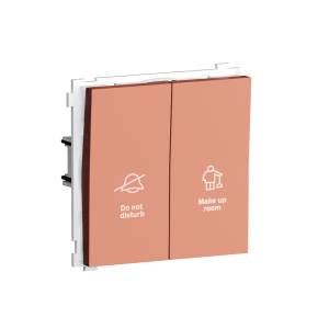 Выключатель двухклавишный встраиваемый Donel R98 с символами DND/MUR Коралл матовый DA25800-DA88845